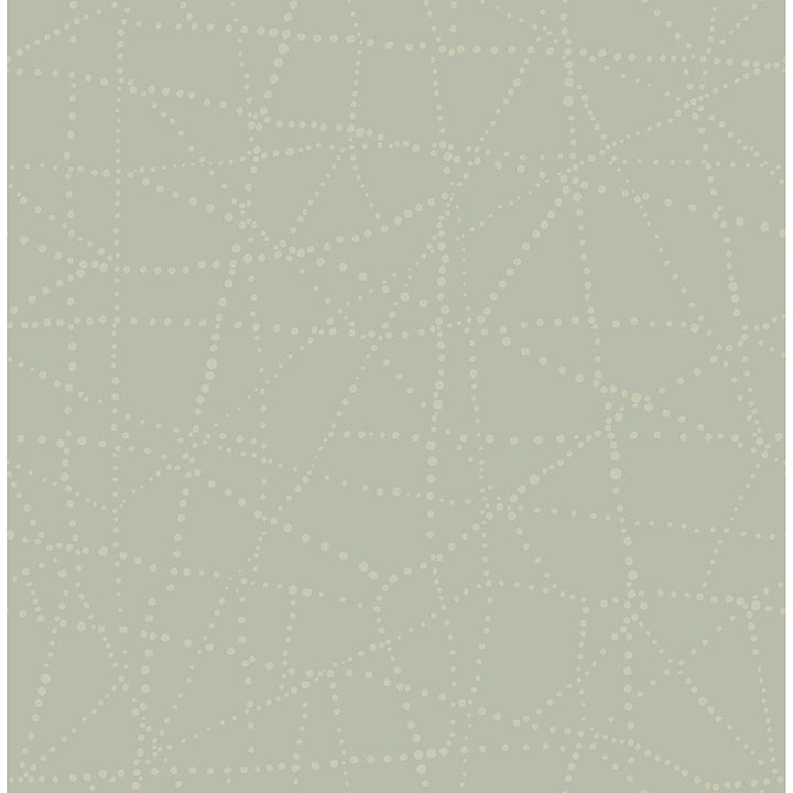 
                  
                    Alcott Sage Dotted Wallpaper
                  
                