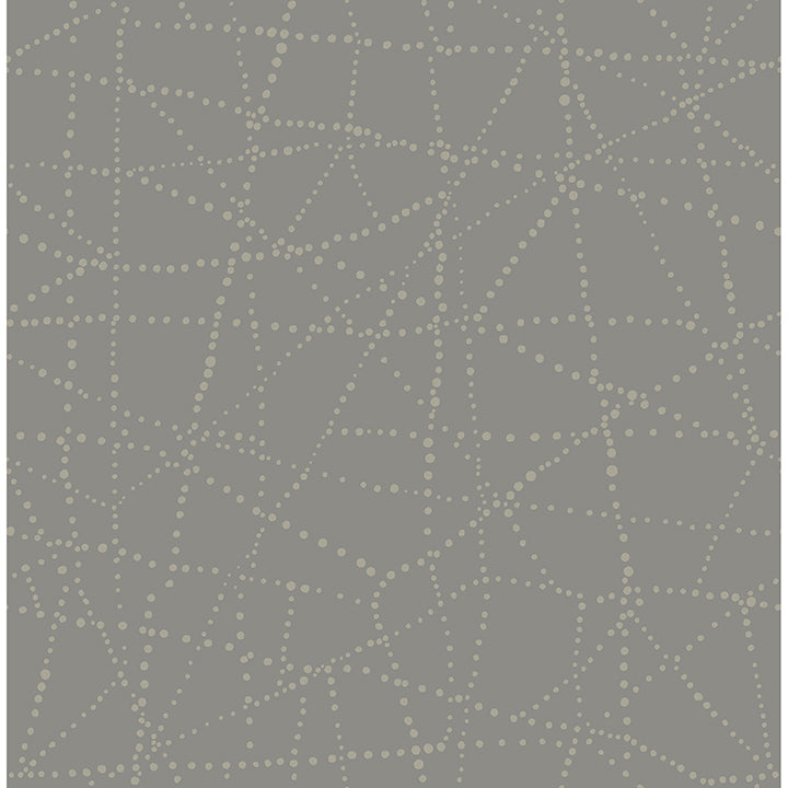 
                  
                    Alcott Charcoal Dotted Wallpaper
                  
                